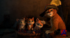   :   / Puss in Boots: The Three Diablos