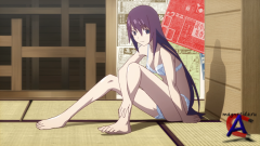   / Bakemonogatari