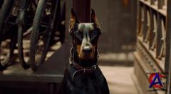   / Hugo