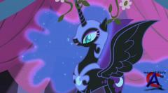 -   / My Little Pony: Friendship Is Magic