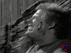 , ! , ! / Faster, Pussycat! Kill! Kill!