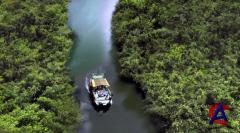  / The River(1 )