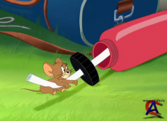   :    / Tom nd Jerry: In the Dog House