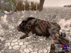 -  S.T.A.L.K.E.R.:   / S.T.A.L.K.E.R.: Call of Pripyat