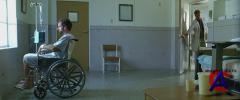    / Little Miss Sunshine