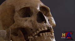HISTORY -   / Ancient Aliens [2 ]