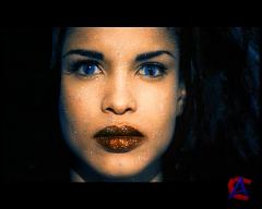 -  / Rammstein - VideoGraphy