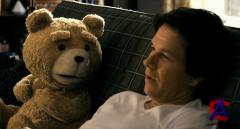   / Ted