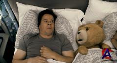   / Ted