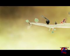 Botanicula Special Edition v1.0.0.7