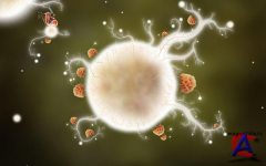 Botanicula Special Edition v1.0.0.7