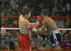 100   / 100 Classic Knockouts