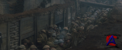   / War Horse