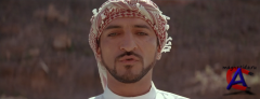    / Salmon Fishing in the Yemen