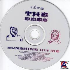 The Bees - Sunshine Hit Me