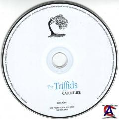 The Triffids - Calenture