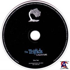 The Triffids - Calenture