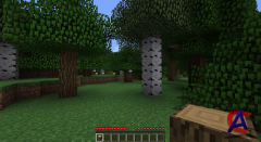 Minecraft 1.2.5
