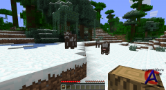 Minecraft 1.2.5