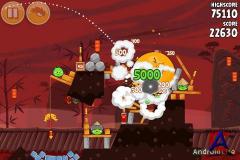 Angry Birds Seasons: Year of the Dragon