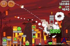 Angry Birds Seasons: Year of the Dragon