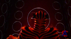  3 / Madagascar 3: Europes Most Wanted