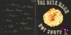 The Beta Band - Hot Shots II