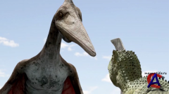  / Jeombaki: Hanbandoeui Gongryong