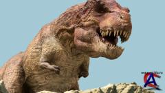  3D / Jeombaki: Hanbandoeui Gongryong 3D