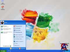 Chip Windows XP 2012.06 DVD