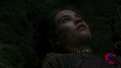   / Wrath of the Titans
