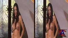    3D/ Penthouse Presents Hot Sexy Singles 3D