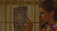    / Moonrise Kingdom