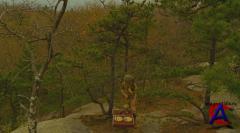    / Moonrise Kingdom