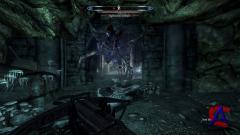 The Elder Scrolls V: Skyrim RePack  Fenixx