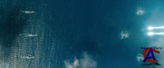   / Battleship HD