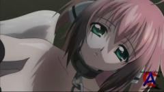   2 /Sora no Otoshimono(TV-2)