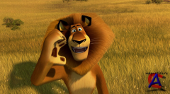  3 / Madagascar 3: Europes Most Wanted