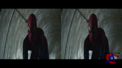  - / The Amazing Spider-Man
