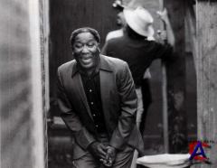 Muddy Waters - Hard Again
