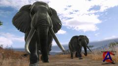 Cabelas Dangerous Hunts 2013 (Activision Publishing) (ENG/MULTi4) [L] - SKIDROW