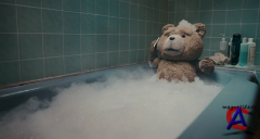   / Ted
