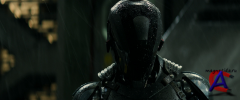   / Total Recall