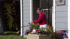  / The Neighbors (1 )