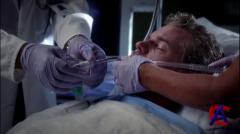   / Greys Anatomy (9 )