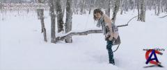   Deadfall