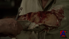 :    / Werewolf: The Beast Among Us