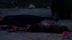 :    / Werewolf: The Beast Among Us