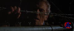   / Looper