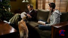 -9:   / K9 Adventures: A Christmas Tale